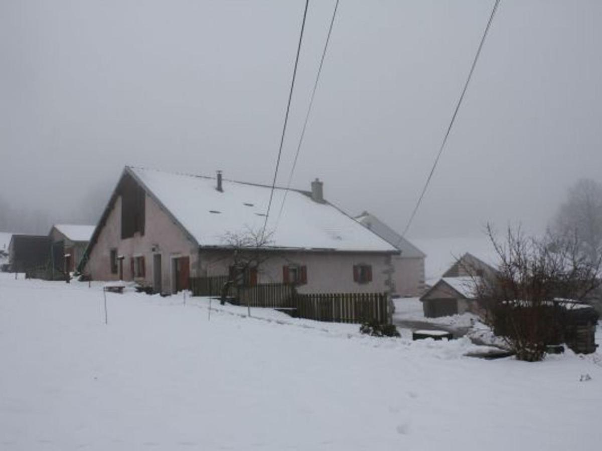 Gite Paisible A 650M D'Alt., Nature, Cheminee, 3 Ch. Pres De Remiremont & Plombieres, Terrasse, Grand Terrain - Fr-1-589-50 Girmont-Val-dʼAjol Exterior foto