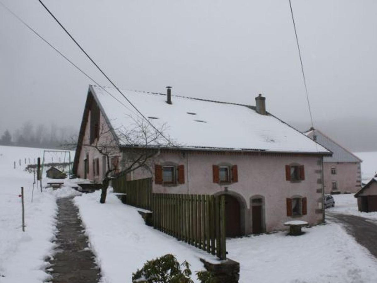 Gite Paisible A 650M D'Alt., Nature, Cheminee, 3 Ch. Pres De Remiremont & Plombieres, Terrasse, Grand Terrain - Fr-1-589-50 Girmont-Val-dʼAjol Exterior foto